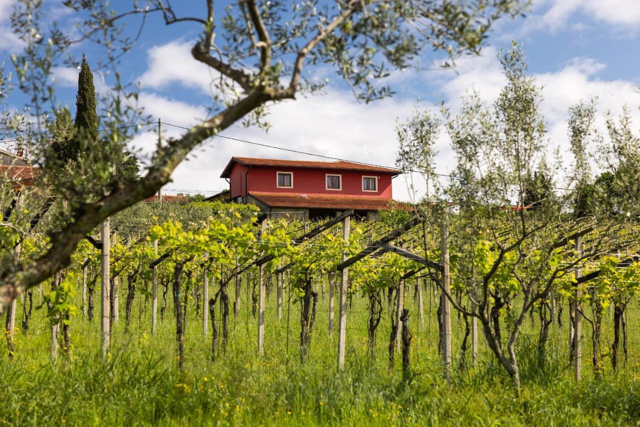 Touristfarm - Apartments "Red Fairytale" Marezige Ngoại thất bức ảnh