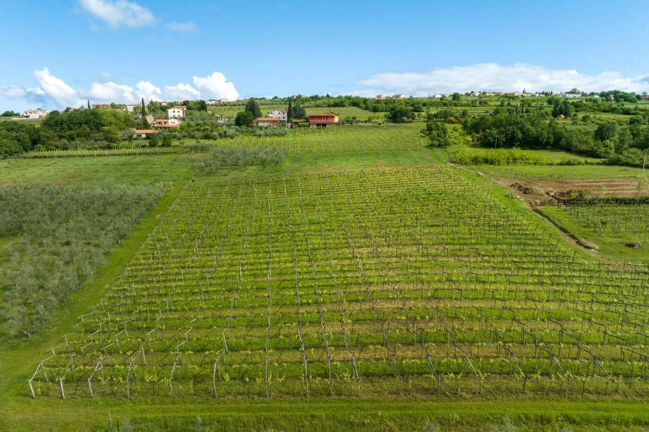 Touristfarm - Apartments "Red Fairytale" Marezige Ngoại thất bức ảnh